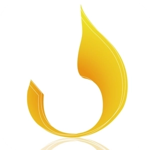 金泰成實業有限公司